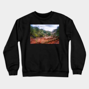 Down by the Stream HDR Crewneck Sweatshirt